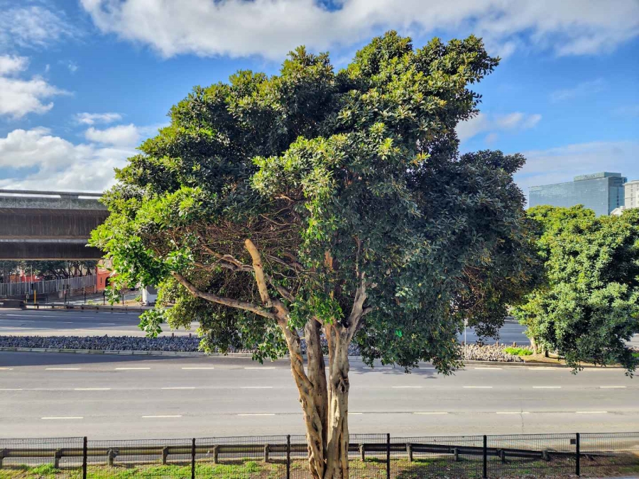 1 Bedroom Property for Sale in De Waterkant Western Cape